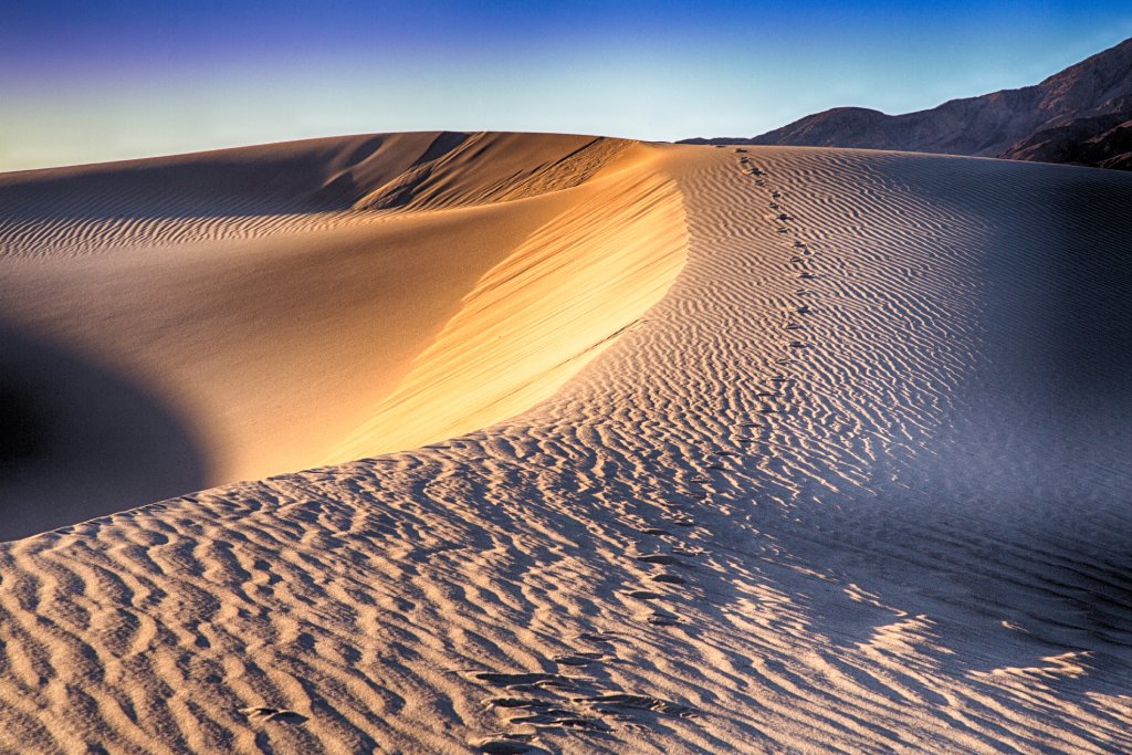 Soft sand dunes with wind-made lines throughout is seen for miles with mountains in the background. The sun is setting to the left and light is bouncing off the sand.
